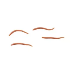 Berkley Gulp! Alive! Angle Worm