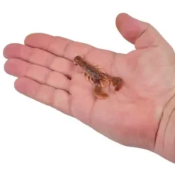 Berkley PowerBait MaxScent Lil' Super Trooper -Berkley Shop 02863230885 2