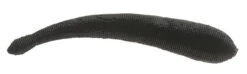 Berkley Gulp!® Leech - 1" Black