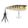 Berkley Bullet Pop - 80mm (1/2 Oz) - Baby Bass -Berkley Shop BHBBP80 BBB 24247.1654603477