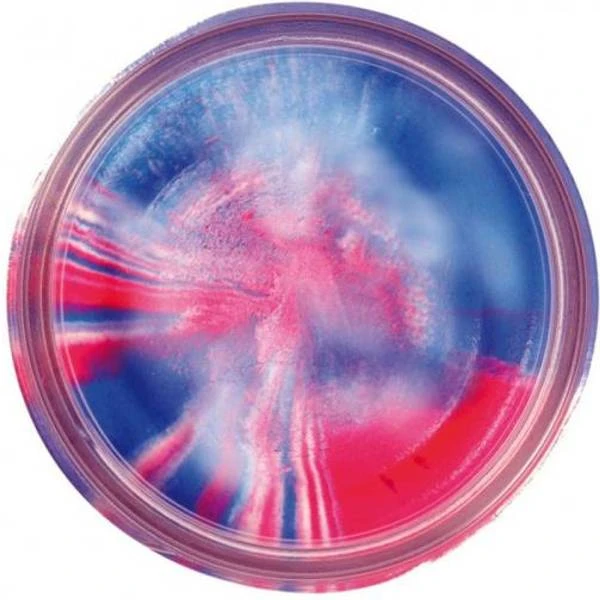 Berkley Natural Scent Trout Bait Garlic Captain Amercia 50g 4 Berkley Natural Scent Trout Bait Garlic Captain Amercia 50g - Image 2