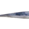 Berkley Gulp Ice - 1 Inch Minnow - GHIMI1-FTHD -Berkley Shop GHIMI1 FTHD 79297.1595434013