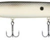 Berkley Cane Walker - 4-1/3in - MF Shad -Berkley Shop berkley bhbcw110 mfs cane walker 62768.1651445822.386.513