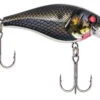 Berkley BHBPB5.5 Squarebull Crankbait Lures