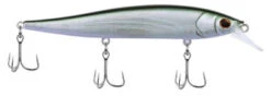 Berkley BHBST112 Stunna Jerkbait - Silver Dolla
