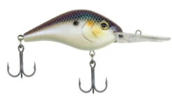 Berkley Dredger Crankbait Lures -Berkley Shop berkley dredger crankbait lures 98577.1650808643