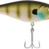 Berkley Flicker Shad Shallow 1 Berkley Flicker Shad Shallow -Berkley Shop berkley flicker shad shallow 33642.1651190031.386.513