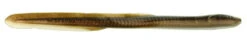 Berkley Gulp! Saltwater Eel -Berkley Shop berkley gse10 gulp saltwater eel 10in 09599.1651153520