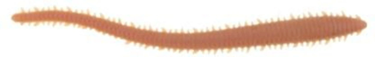 Berkley Gulp! Saltwater Sandworm 8 Berkley Gulp! Saltwater Sandworm - Image 6
