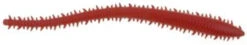 Berkley Gulp! Saltwater Sandworm 11 Berkley Gulp! Saltwater Sandworm -Berkley Shop berkley gulp saltwater sandworm 91735.1651153578