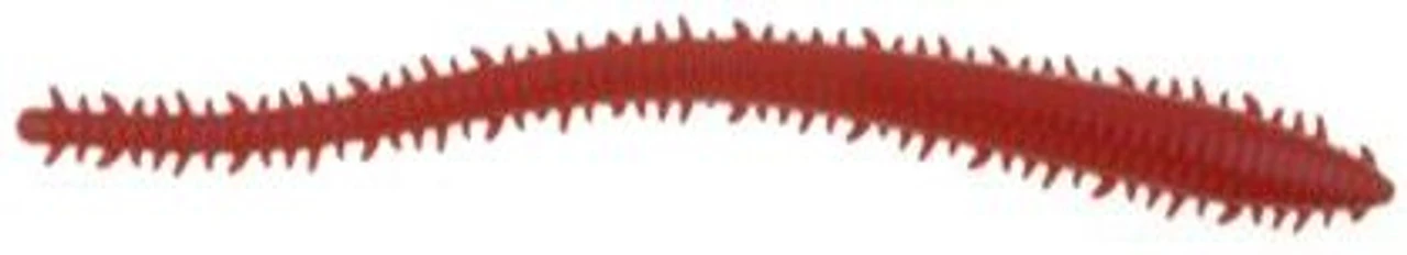 Berkley Gulp! Saltwater Sandworm 6 Berkley Gulp! Saltwater Sandworm - Image 4