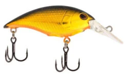 Berkley Money Badger