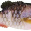 Berkley PowerBait Gilly Swimbait - 90mm - HD Bluegill -Berkley Shop berkley pbgl90 hdblg powerbait gilly 99680.1651417611.386.513