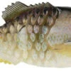 Berkley PowerBait Gilly Swimbait -Berkley Shop berkley powerbait gilly swimbait 21167.1651417617