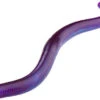 Berkley Powerbait Straight Money Worm 1 Berkley Powerbait Straight Money Worm -Berkley Shop berkley powerbait straight money worm 52337.1651257200.386.513