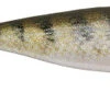 Berkley Powerbait The Champ Minnow