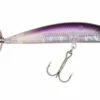 Berkley® SPY Purple Ice! -Berkley Shop berkley spy 03056.1576684493